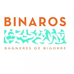 logo binaros